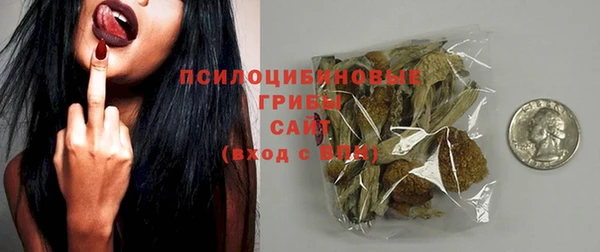 ПСИЛОЦИБИНОВЫЕ ГРИБЫ Алексеевка