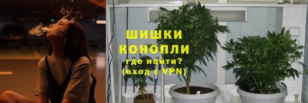 ПСИЛОЦИБИНОВЫЕ ГРИБЫ Алексеевка
