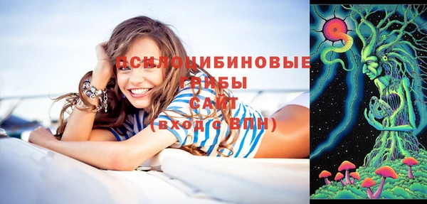 ПСИЛОЦИБИНОВЫЕ ГРИБЫ Алексеевка