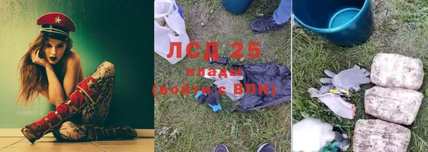 ПСИЛОЦИБИНОВЫЕ ГРИБЫ Алексеевка