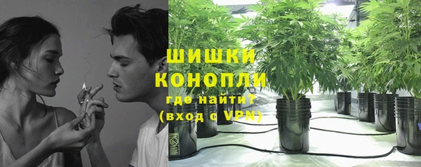 ПСИЛОЦИБИНОВЫЕ ГРИБЫ Алексеевка