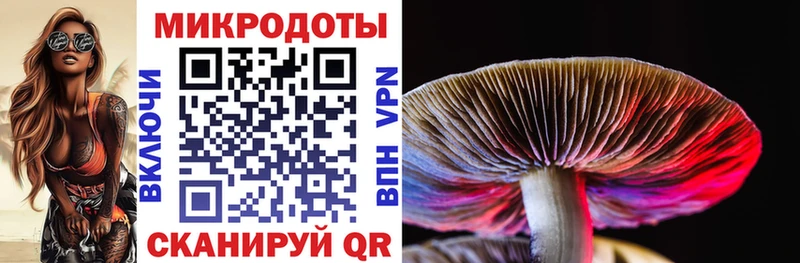 Псилоцибиновые грибы Psilocybe mega ссылка Кирс